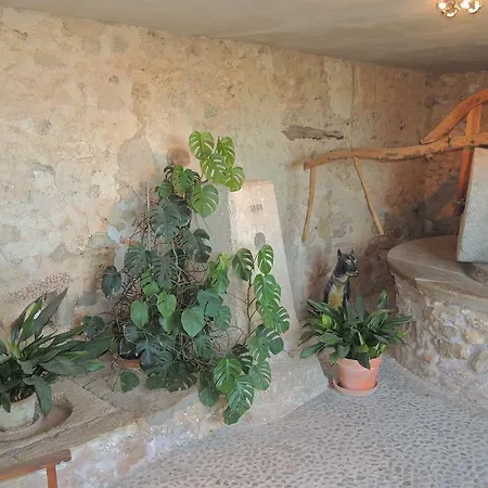 Villa Son Corco Consell